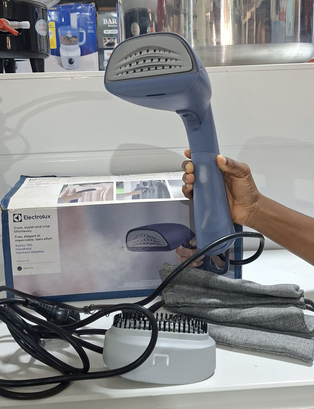 Electrolux handheld steam iron