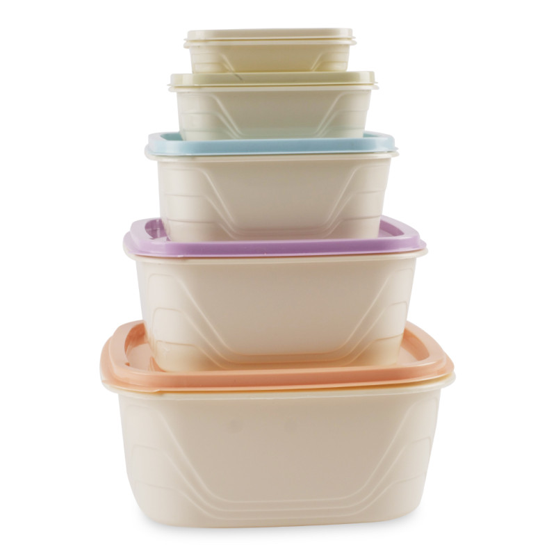 5pcs plastic storage bowls set